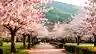 Georgia in Spring: Travel Guide